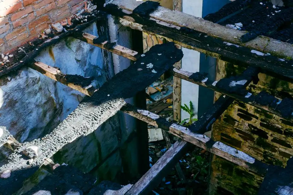 Flood restoration services