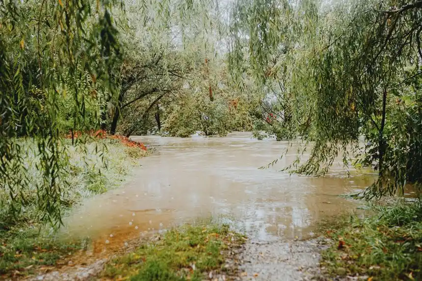 Sewage backup cleanup: why you should never DIY in Palm Bay