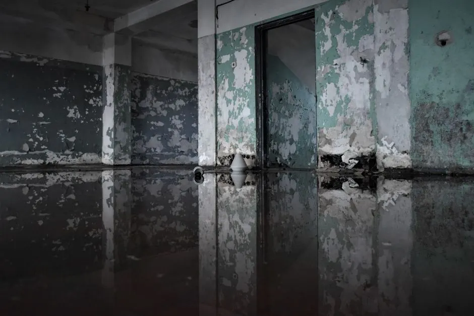 Water Damage Restoration near me for Palm Bay homes