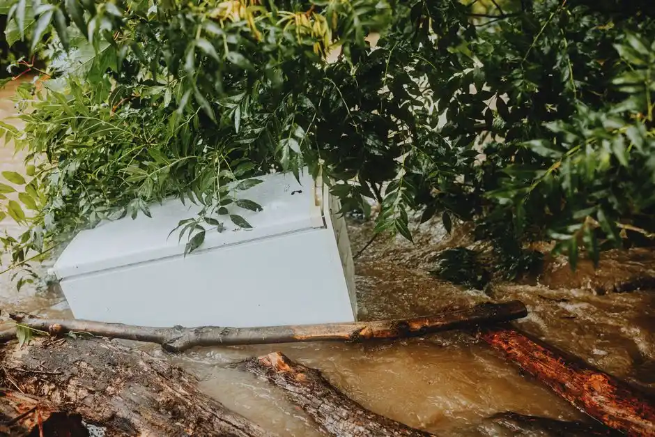 Water Damage Restoration near me for Palm Bay homes